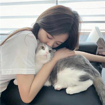 历史的进程